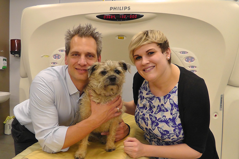 RVC Pet Epilepsy Tracker App RVC News News and Events Royal